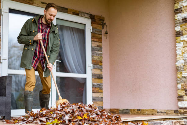 Best Basement Cleanout Services  in Cologne, NJ